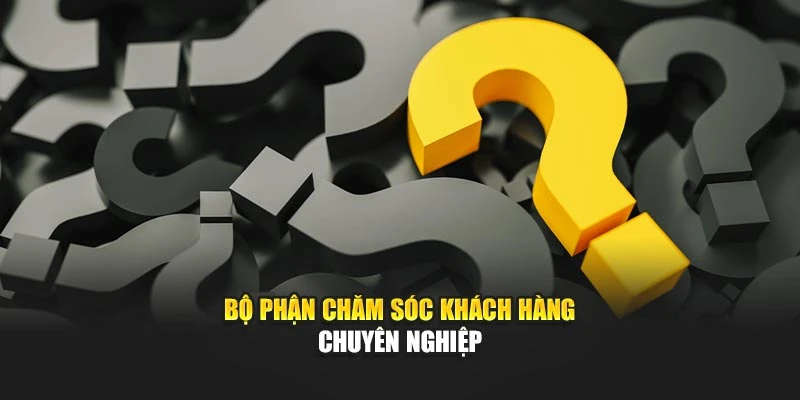 Bộ phận chăm sóc khách hàng chuyên nghiệp