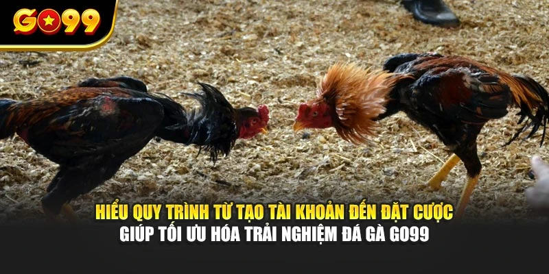 Hiểu quy trình từ tạo tài khoản đến đặt cược giúp tối ưu hóa trải nghiệm đá gà GO99