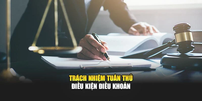 Trách nhiệm tuân thủ điều kiện điều khoản